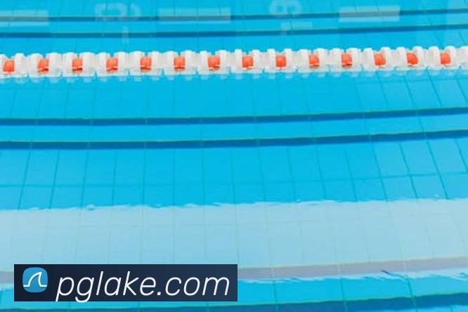 pg电子全站App pg电子全站App