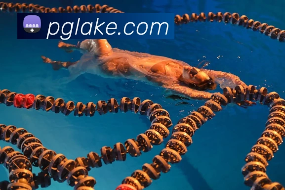 辅助工具 辅助工具